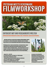 FlyerPotsdammeetsUMkl
